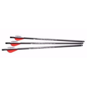Flèches pour carabine UX Airjavelin x 6