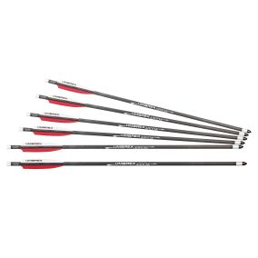 Flèches pour carabine Umarex Airsaber x 6