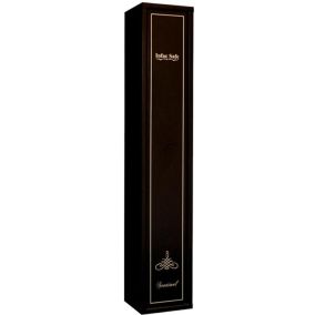 Coffre-fort Sentinel S5 Infac Safe