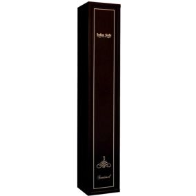 Coffre-fort Sentinel SD5 avec coffre intérieur Infac Safe